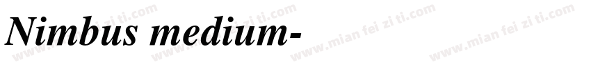 Nimbus medium字体转换